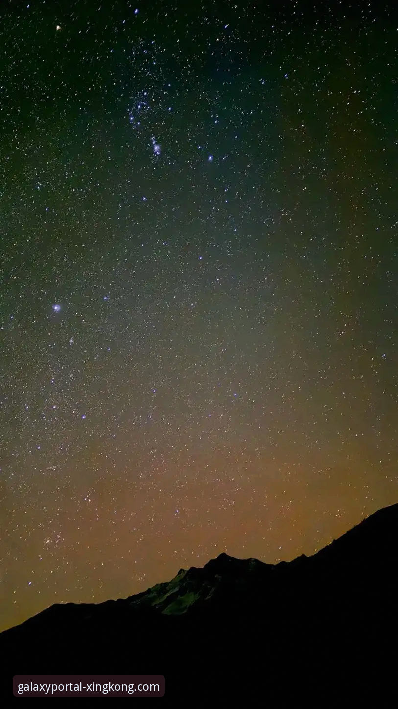 星空官网稳定入口使用指南：从下载到畅享的完整路径解析