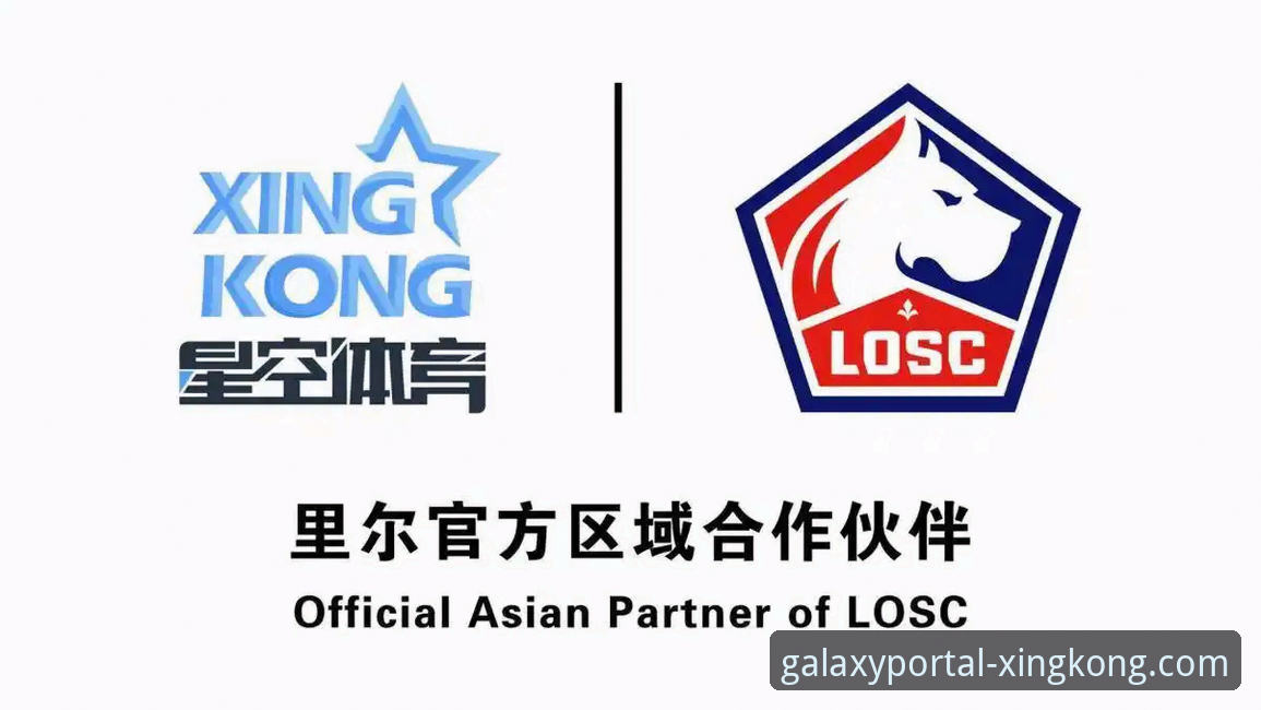 星空体育APP官网2026最新版本下载与使用详解