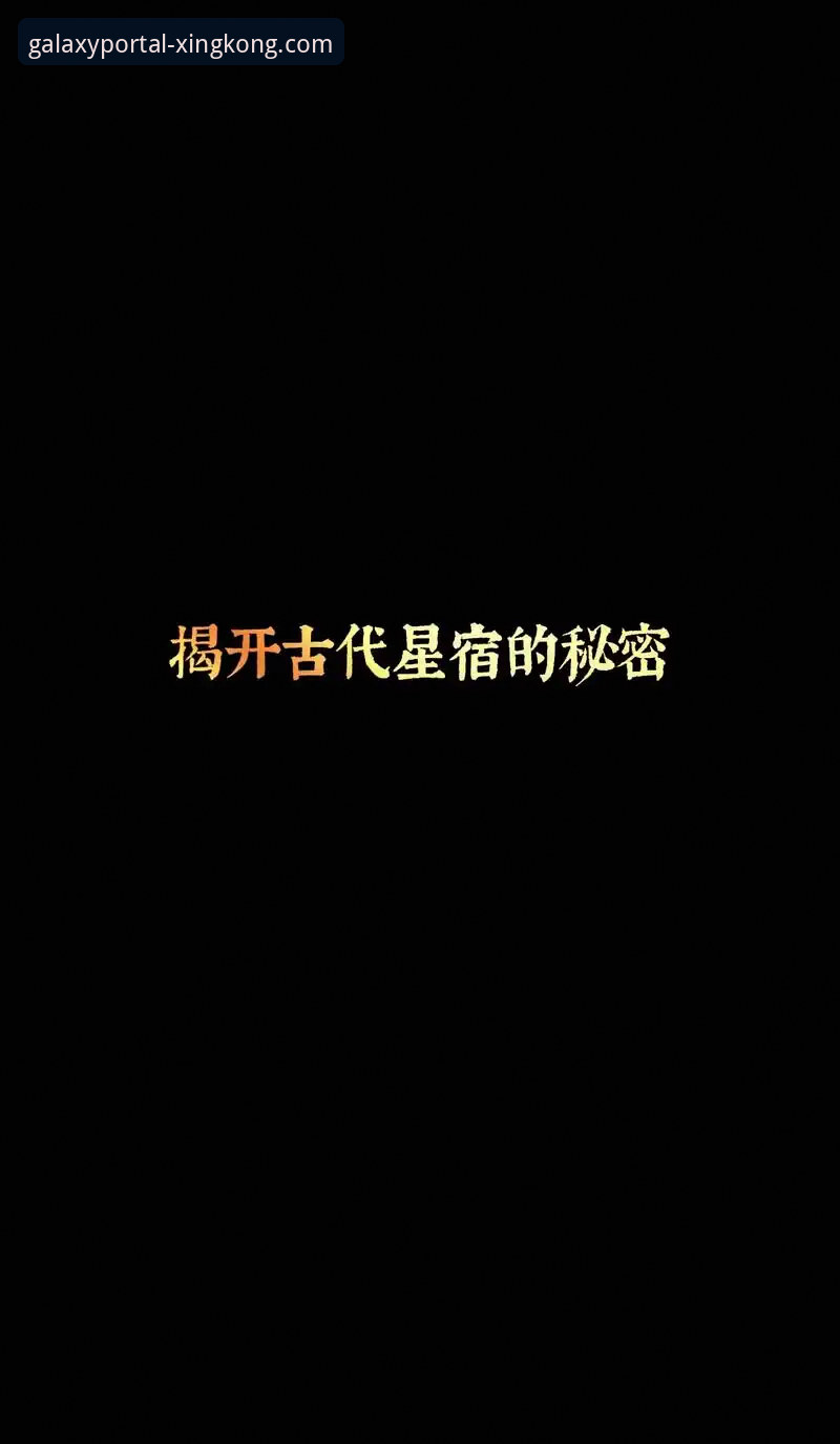 星空官网入口地址安全吗？2024年最新动态与深度解析