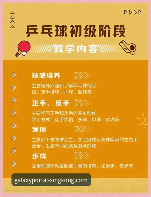 星空体育APP赛事种类使用技巧深度解析：从新手到高手的进阶指南