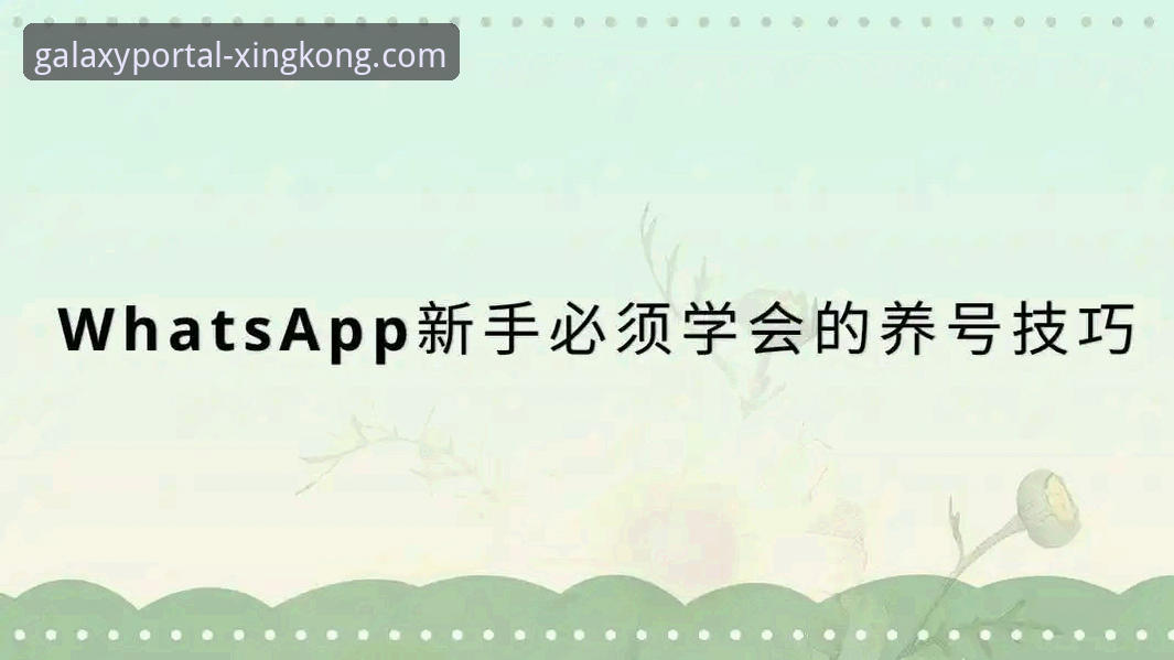 深度揭秘：星空APP使用教程功能详解——你所不知道的高效操作技巧